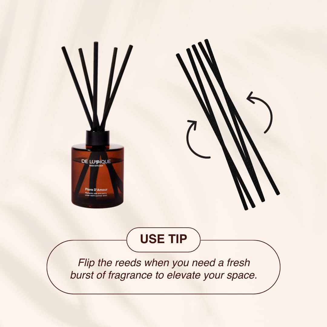 De Lumique Misty Pines Scent Reed Diffuser – Luxury Reed Diffuser with Pine, Eucalyptus & Amber – Long-Lasting, Natural Aromatherapy Scent for Home, Office, or Bedroom – 50ml