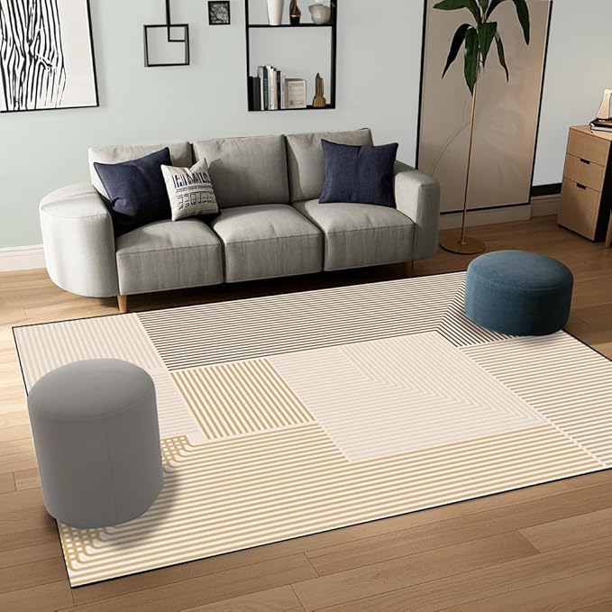 Abstract Washable Area Rug 5x7Ft Soft Non Slip Durable High Traffic Rug for Living Room, Bedroom & Home Office
