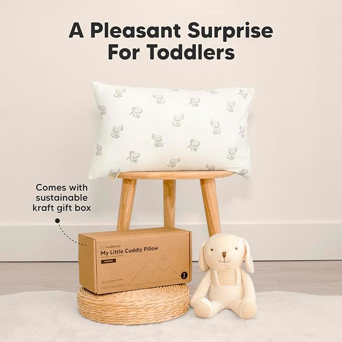 Toddler Pillow with Pillowcase - 13x18 My Little Cuddly Pillow, Viscose Derived From Bamboo Nursery Toddler Pillows for Sleeping,Kids Pillow,Small Travel Pillows,Mini Toddler Bed Pillow (Flora Vale)