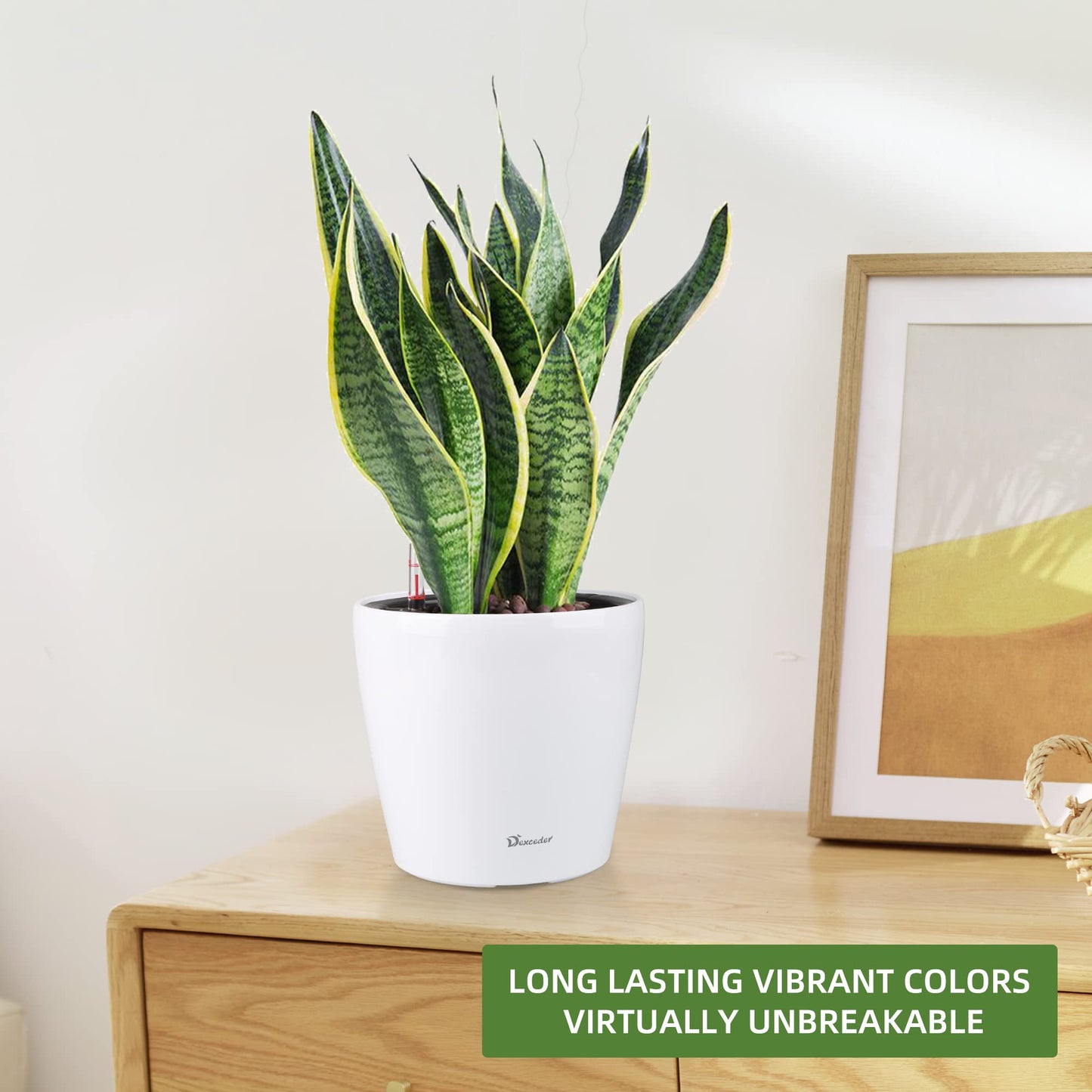 Dexceder 9x8 Self Watering Planter (White High Gloss)