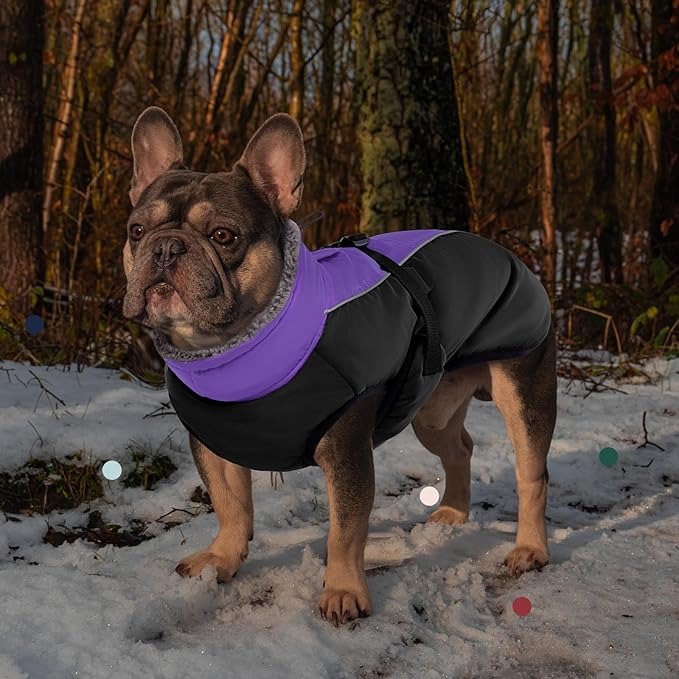 IECOii Extra Warm Dog Coat - Reflective, Adjustable Jacket with Buckle & Fleece Turtleneck for Small to Extra Large Dogs in Cold Weather