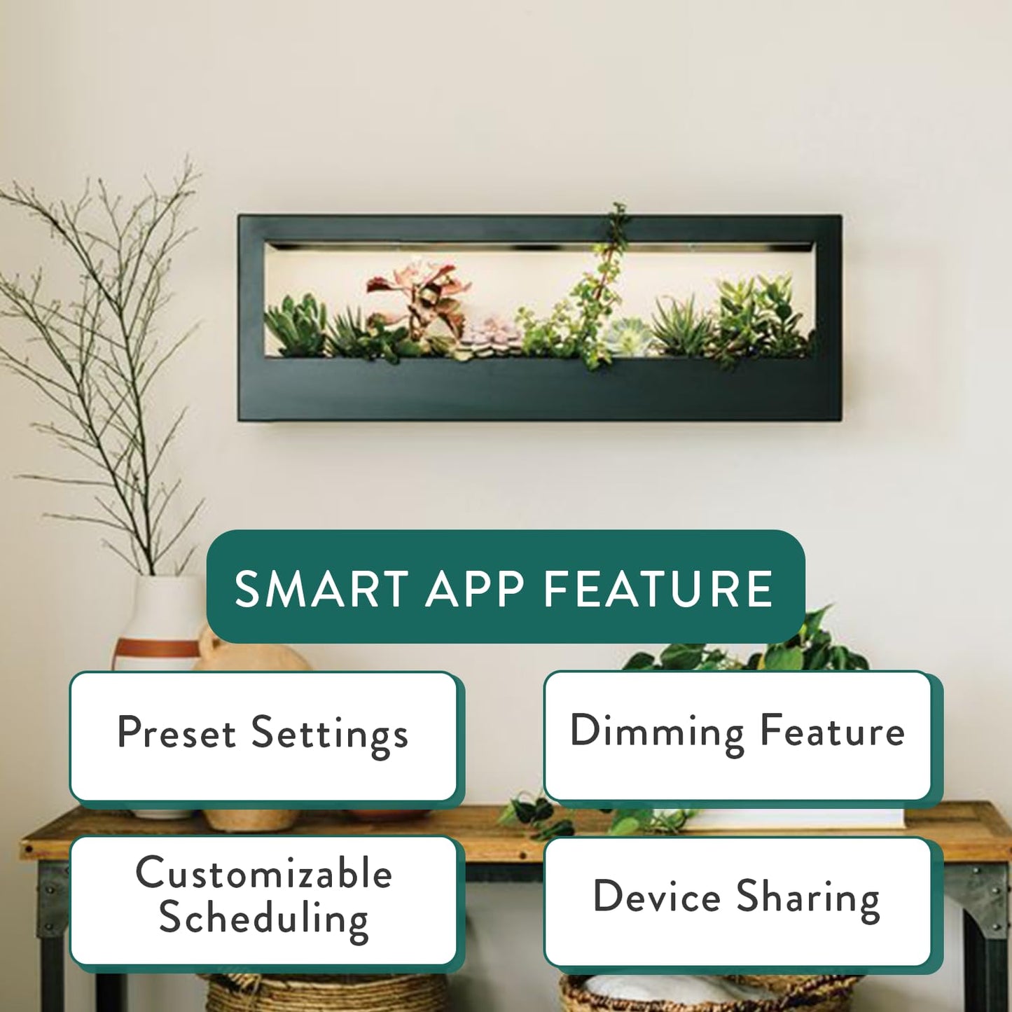 Modern Sprout Smart Landscape Growframe - Wall Mounted Plant Stand with LED Grow Light - Smart App Controlled - Powder-Coated Steel Frame for Indoor Plants - Perfect for Gifting and Decor - Black