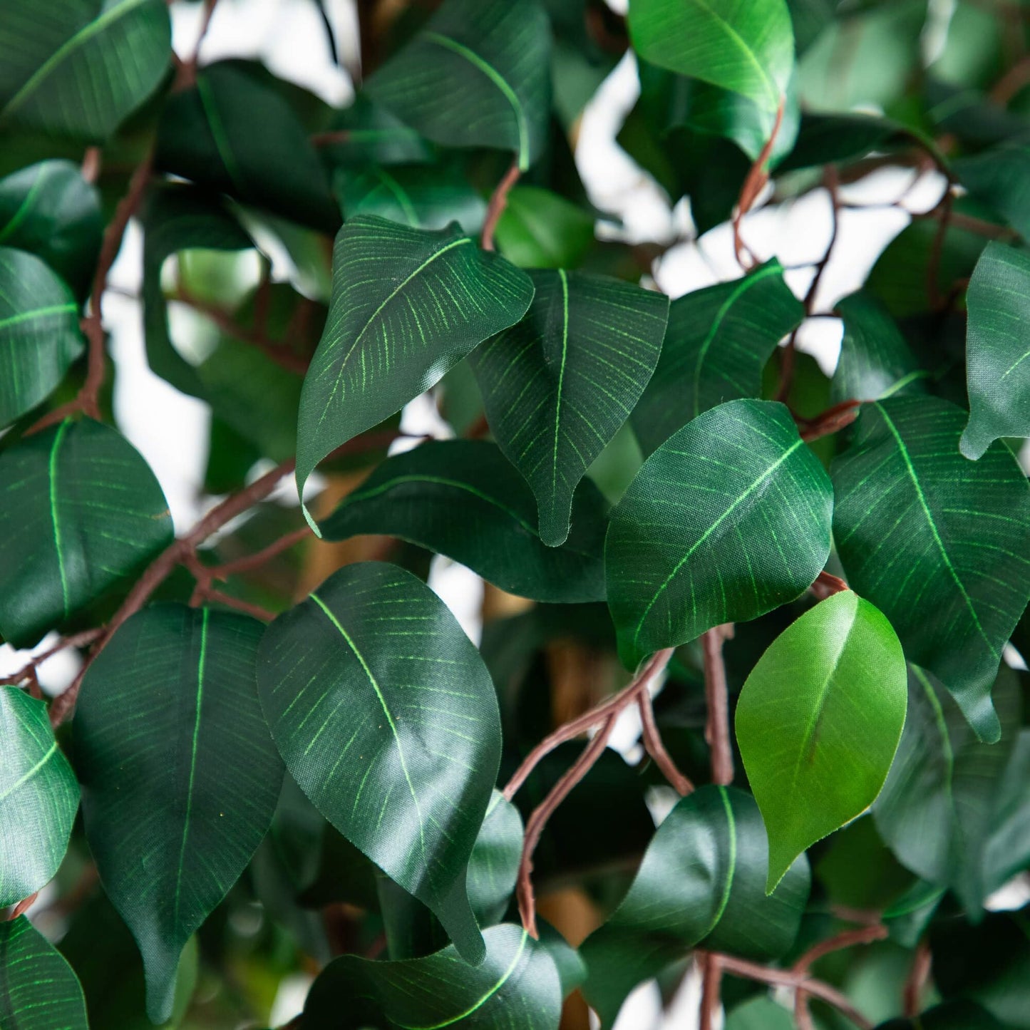 Nearly Natural 74in Artificial Triple Trunk Ficus Tree, Faux Greenery with Natural Wood Trunks for Indoor Home Decor