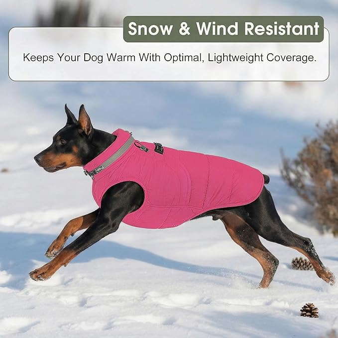 SAWMONG Dog Coat, Warm Dog Winter Coat, Waterproof Fleece Jacket, Cold Weather Dogs Jacket (XL,Rosered)