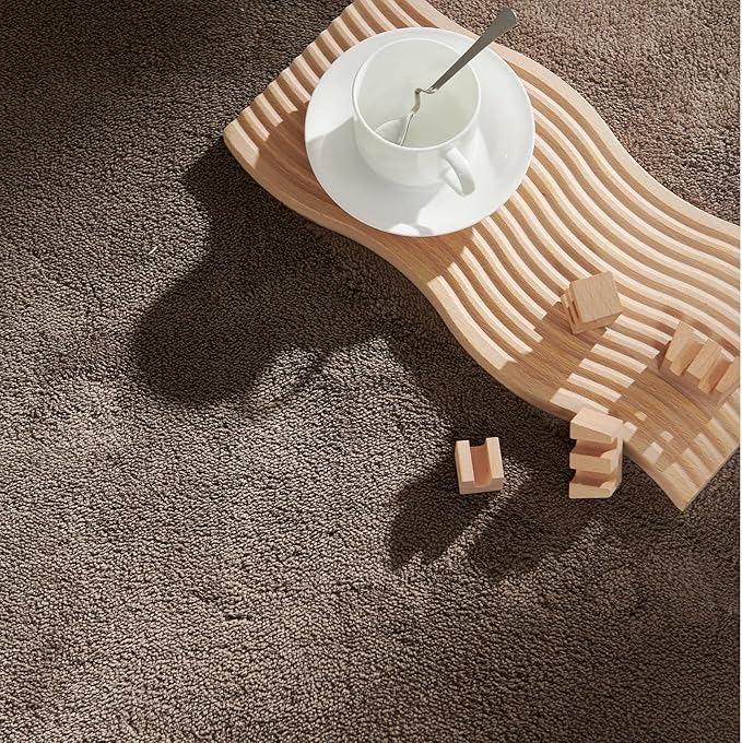 jinchan Solid Plush Area Rug 3x5 Performance Shaggy Washable Rug Indoor Soft Modern Faux Wool Cozy Non Slip Carpet for Living Room Kids Room Bedroom Dining Room Nursery Brown