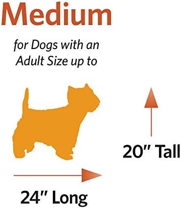 MidWest Homes for Pets 30-Inch iCrate Folding Dog Crate with Divider Panel, Leak-Proof Tray & Secure Latches – Metal Wire Kennel for Medium Breeds – Portable, Durable & Easy to Assemble