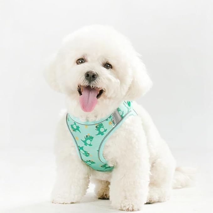 Step in Dog Harness and Leash Set, Flower Adjustable Easy Walk Puppy Harnesses, Soft Mesh No Pull Pet Vest Harness for Small Dogs and Cats(Green, XS)