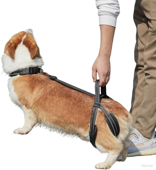 New Upgraded Dog Hind Leg Support Harness, Rear Leg Support Harness - Mobility Aid for Disabled & Paralyzed Pets, Rehabilitation Sling for Hind Leg Assistance (Medium)