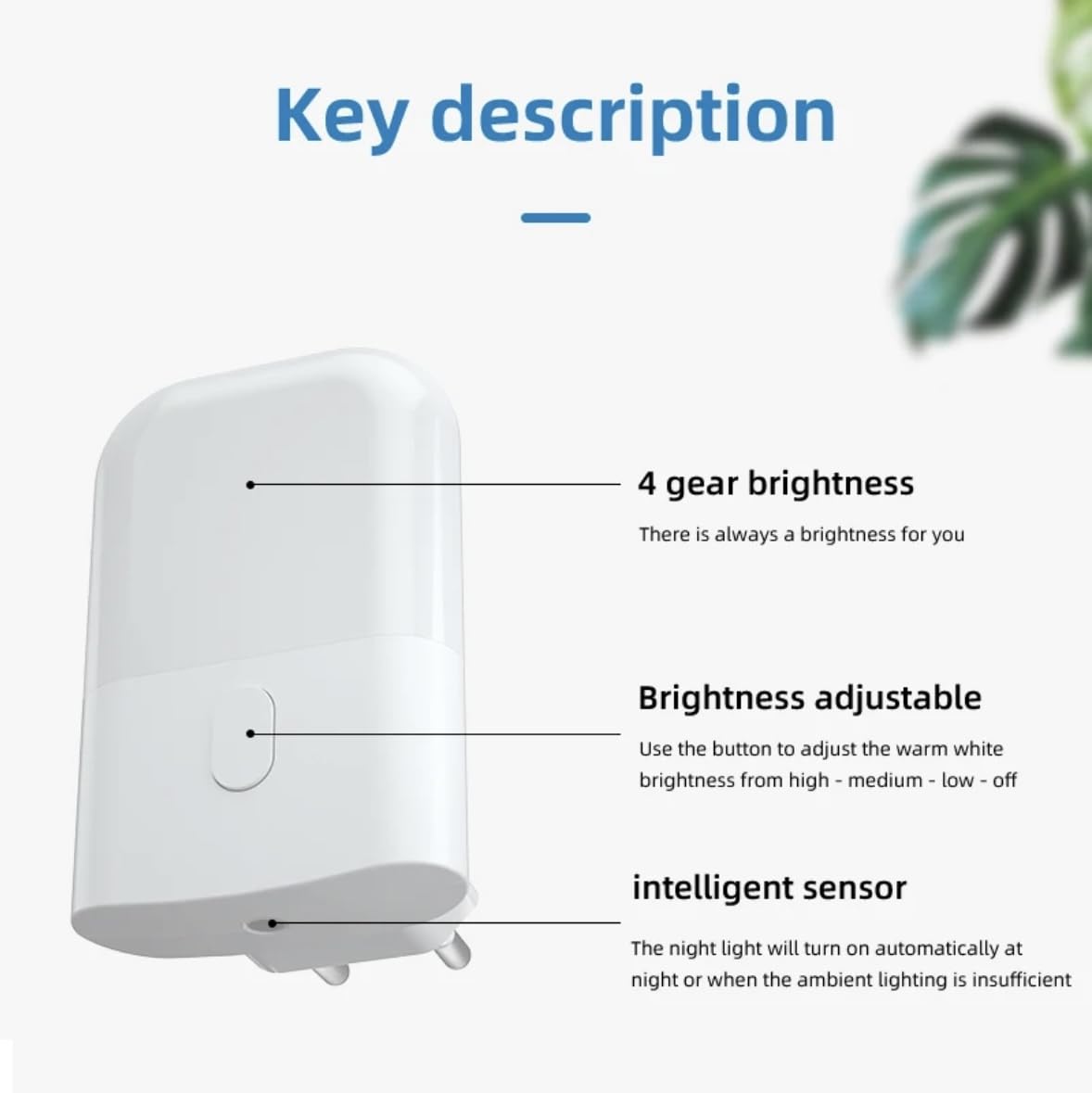 Led Night Light Plug into Wall, 4 Modes Brightness Adjustable, 2700K Warm White, Light Sensor Dusk to Dawn, Indoor Light for Bedroom Living Room Stair and Hallway. 2 Pack.