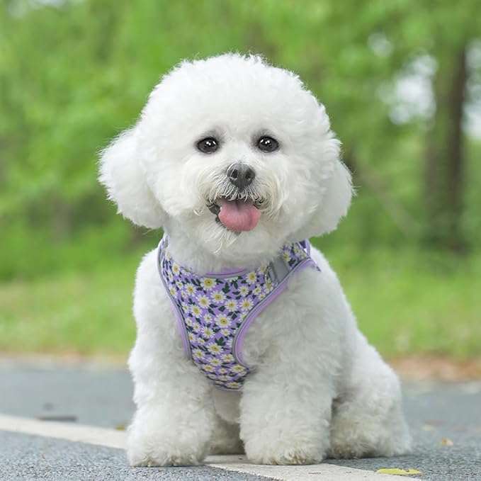 Step in Dog Harness and Leash Set, Flower Adjustable Easy Walk Puppy Harnesses, Soft Mesh No Pull Pet Vest Harness for Small Dogs and Cats(Daisy, XXS)