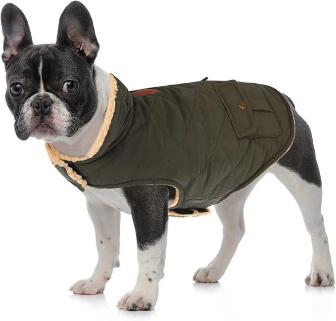 Queenmore Warm Coat for Cold Weather, Quilting Winter Jacket With Ultra Thick Plush Lining and Storage Pockets (Green, Medium)