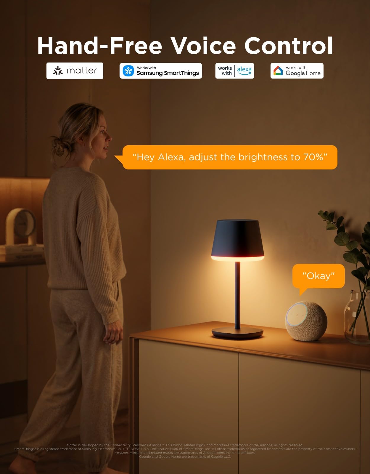 Govee Smart Cordless Table Lamp Classic (No Adapter), RGBIC Rechargeable Table Lamp for Bedroom, Living Room, Portable Desk Lamp Works with Matter, LED Bedside Lamp with 72 Scenes Modes, Timer, 500lm