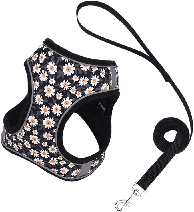 Step in Dog Harness and Leash Set, Flower Adjustable Easy Walk Puppy Harnesses, Soft Mesh No Pull Pet Vest Harness for Small Dogs and Cats(Daisy, XS)