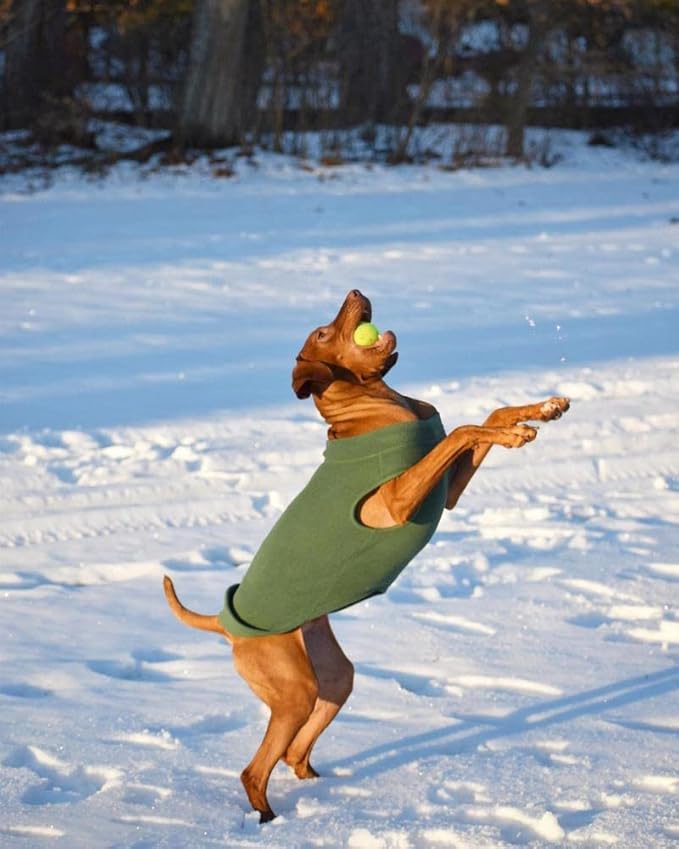 Gooby - Stretch Fleece Vest, Pullover Fleece Vest Jacket Sweater for Dogs, Brown, 4X-Large