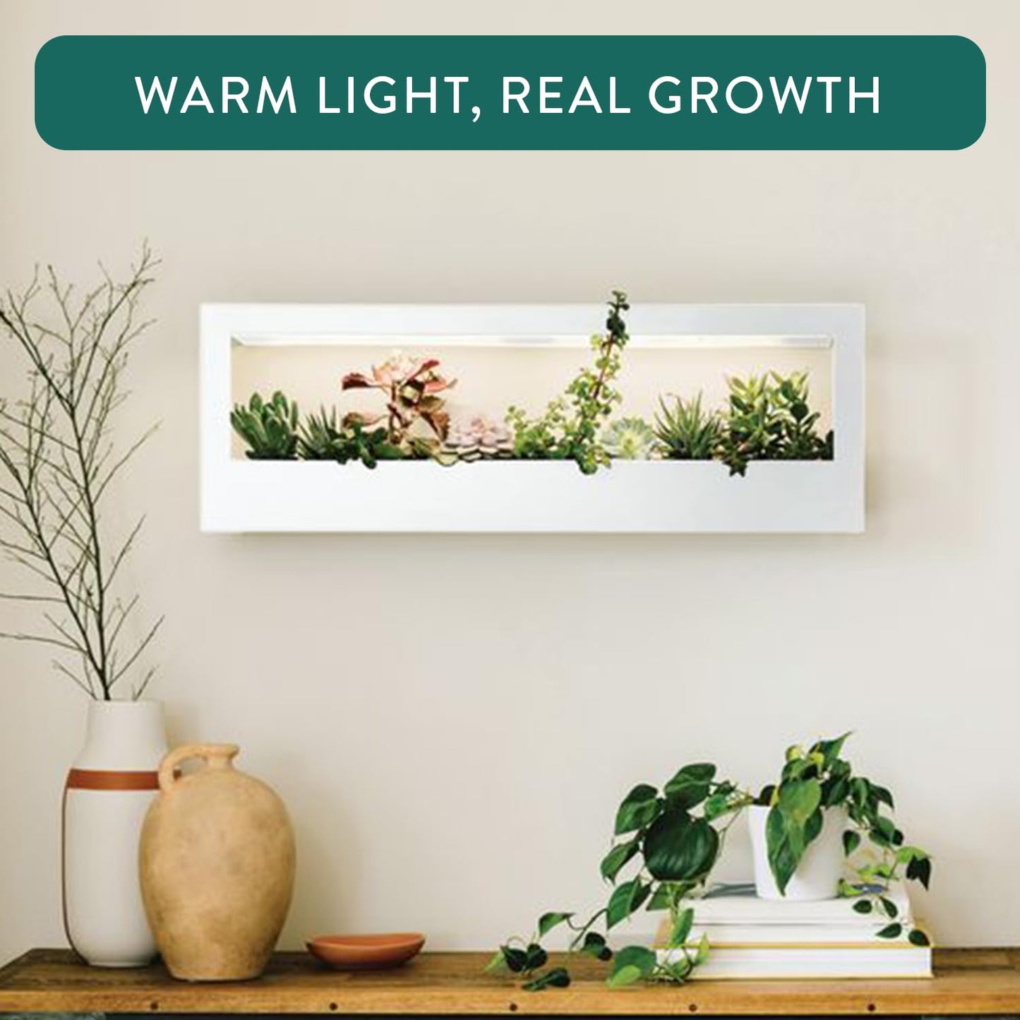 Modern Sprout Smart Landscape Growframe - Wall Mounted Plant Stand with LED Grow Light - Smart App Controlled - Powder-Coated Steel Frame for Indoor Plants - Perfect for Gifting and Decor - Black