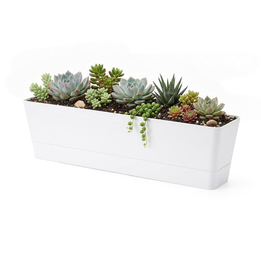 GREANER 16x3.8 Inch Window Boxes Planters, 1PCS Plastic Rectangle Potwith Tray, Lightweight Indoor Succulent Cactus Flowers Vegetable Herb Planters for Balcony, Office, Garden, Outdoor, Windowsill