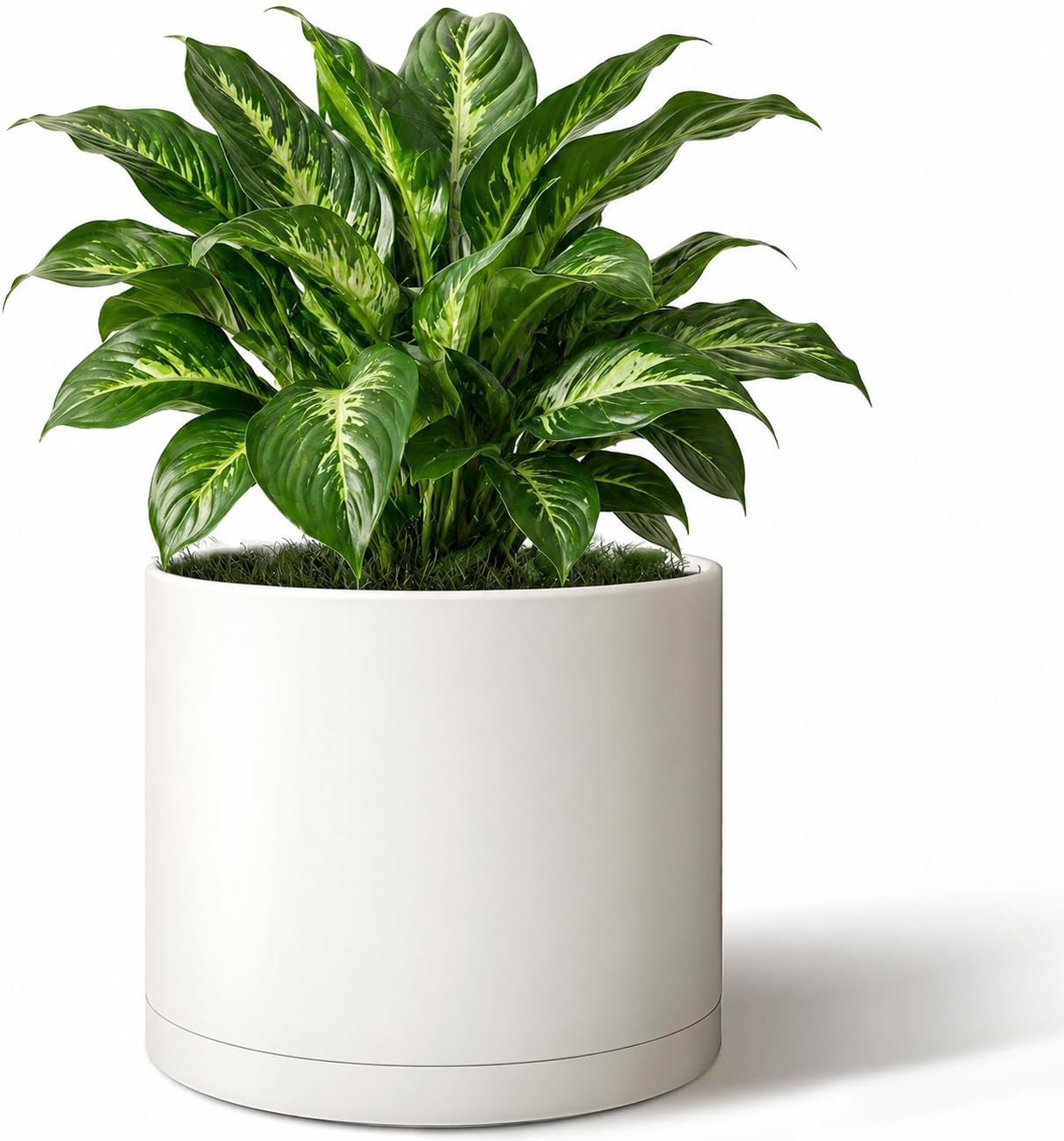 Giraffe Creation 10 Inch Cylinder Plant Pot, Modern Round Planter with Drainage Holes and Saucer, Lightweight Plastic Flower Pot for Indoor Outdoor Plants, White
