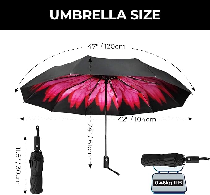LLanxiry Compact Travel Umbrella, Automatic Open/Close Windproof Umbrella, 10 Fiberglass Ribs, 210T Pongee, UPF 50+ Sun/Rain, Lightweight Portable Umbrellas Travel Size with Carry Sleeve