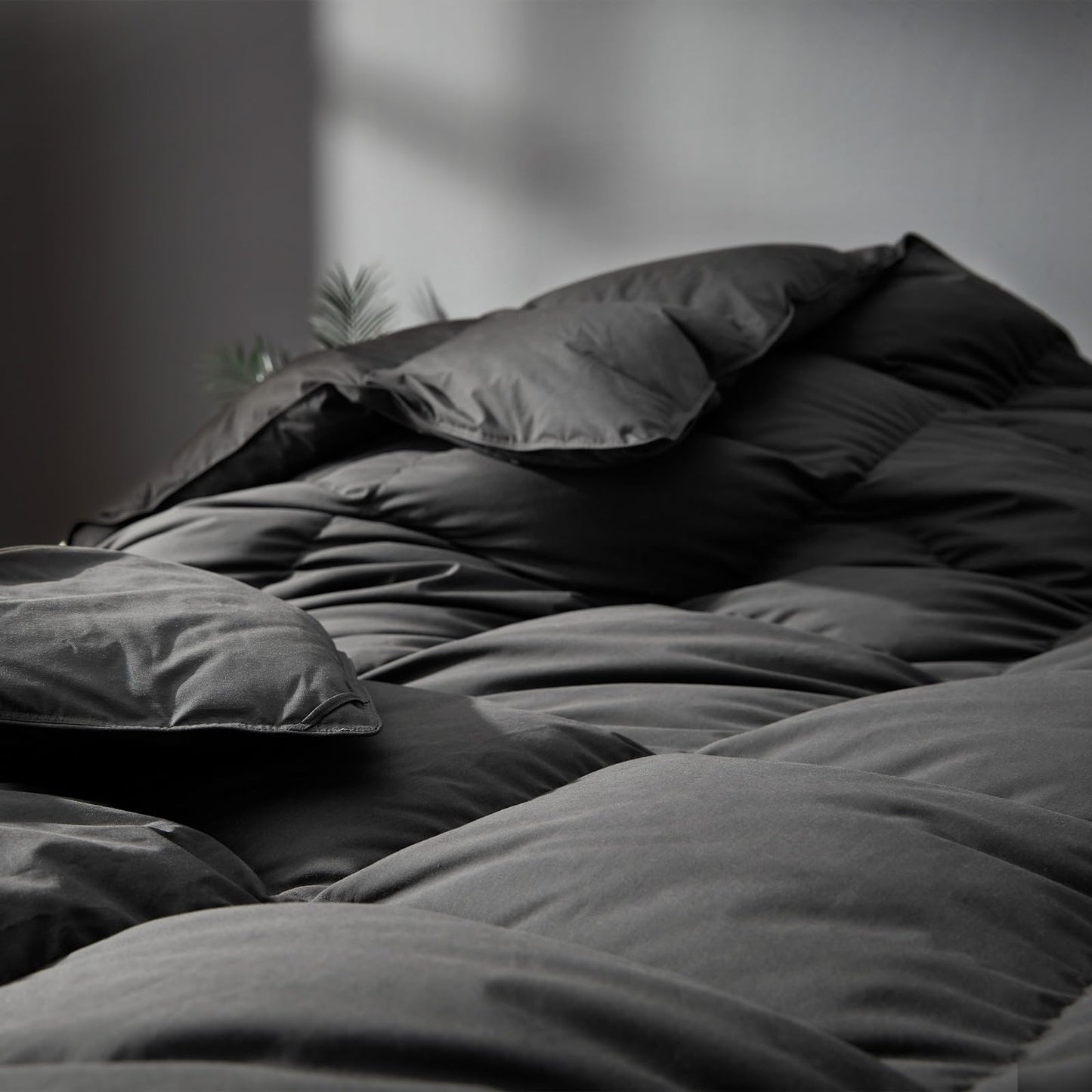 Saisier Grey Goose Feather Down Comforter Queen Size, Premium All Season Duvet Insert, 750+ Fill Power 1200TC Cotton Blend Fabric Hotel Style Comforter, 42 Oz Lightweight (90x90, Dark Grey)