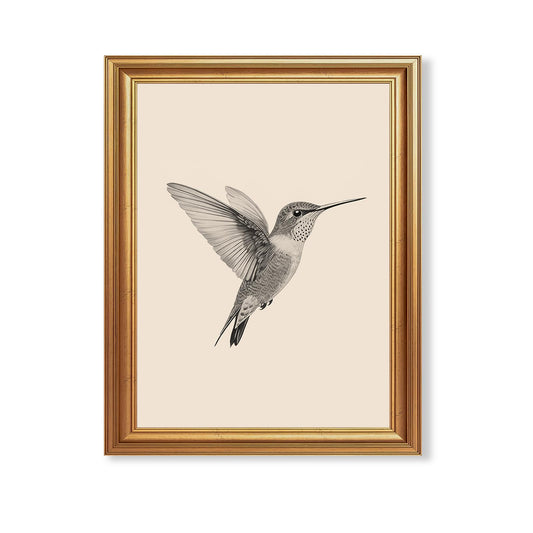 JLTULT Gold Framed Hummingbird Wall Art, Vintage Black White Sketch Wall Decor, Hummingbird Illustration Art Prints for Living Room Bedroom Office 8x10 Inches with Fade-Resistant Easy to Hang