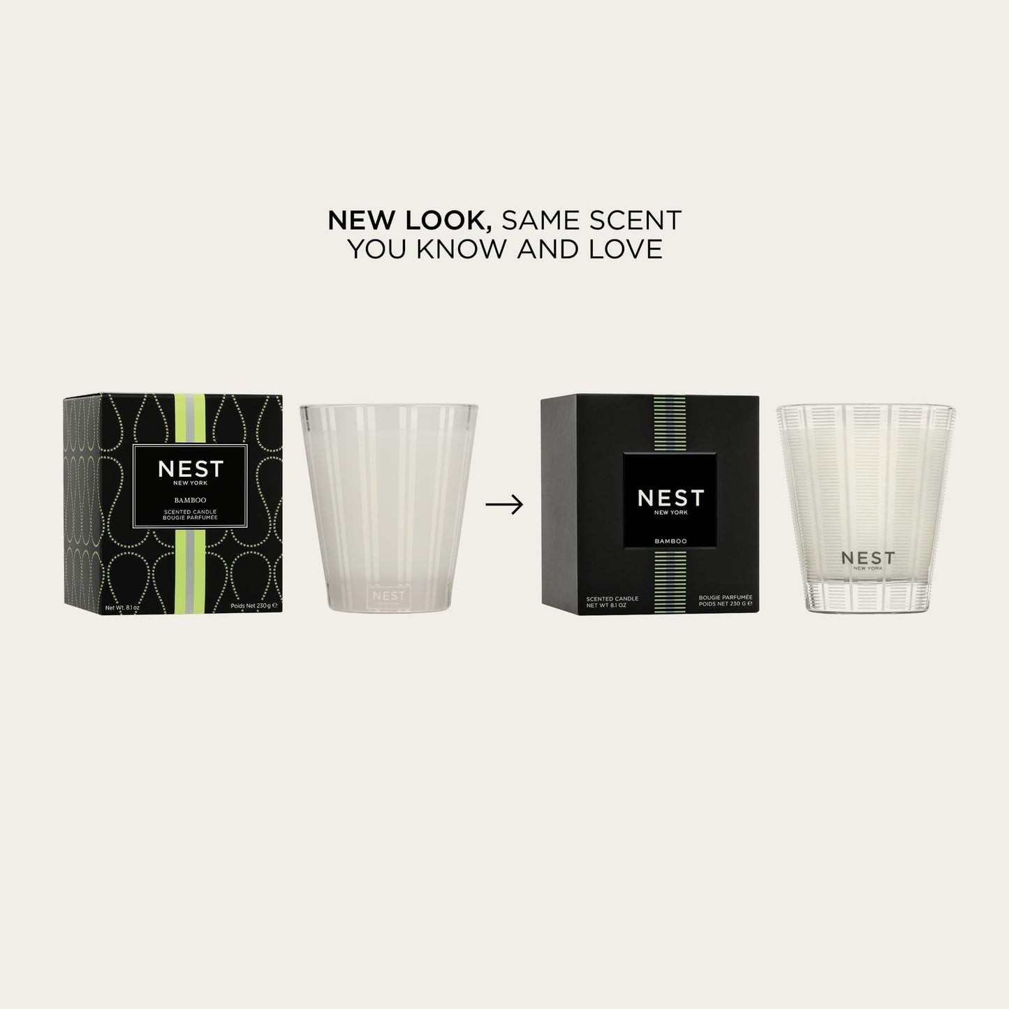 NEST New York Scented Classic Candle, Bamboo - 8.1 oz - Up to 60-Hour Burn Time - Reusable Glass Vessel