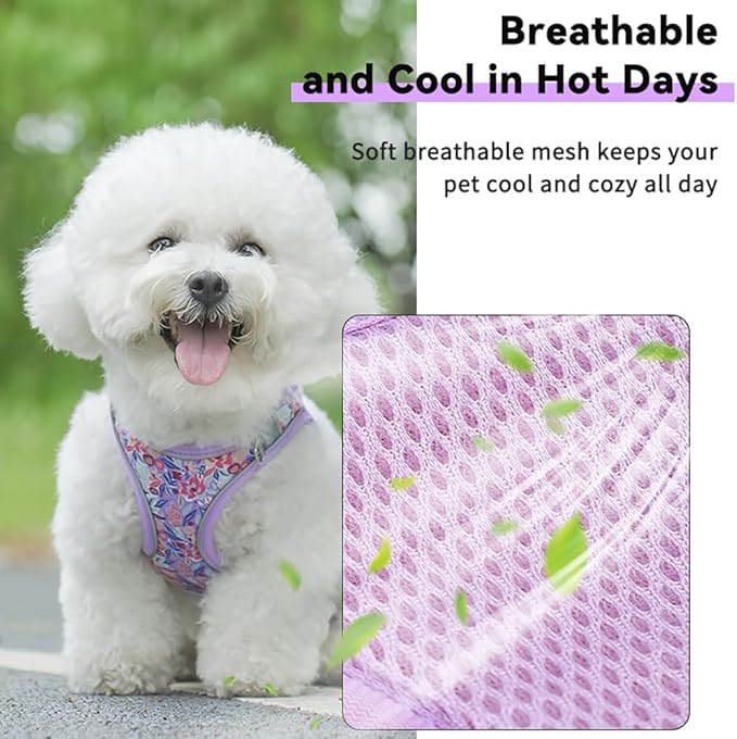 Step in Dog Harness and Leash Set, Flower Adjustable Easy Walk Puppy Harnesses, Soft Mesh Pet Vest Harness Small Size Dog Adjustable No Pull Harness for Small Medium Dogs(Lightpurple, M)