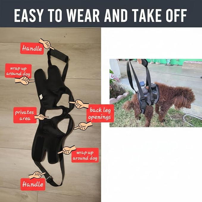 BARDIMIES Dog Lift Harness for Back Legs–Sturdy Dog Support Sling–Hip Sling Carrier for Large Medium Canine, Stair Helper for Aid Old Ligament Rehabilitation Pet, Grey,S
