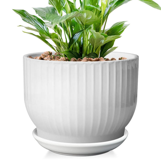 YUFDA 8 Inch Plant Pot,Ceramic Planter with Drainage and Saucer,Ceramic Pots for Plants,Indoor Plant pots,Ceramic Flower pots(Pure White, Plants NOT Included)