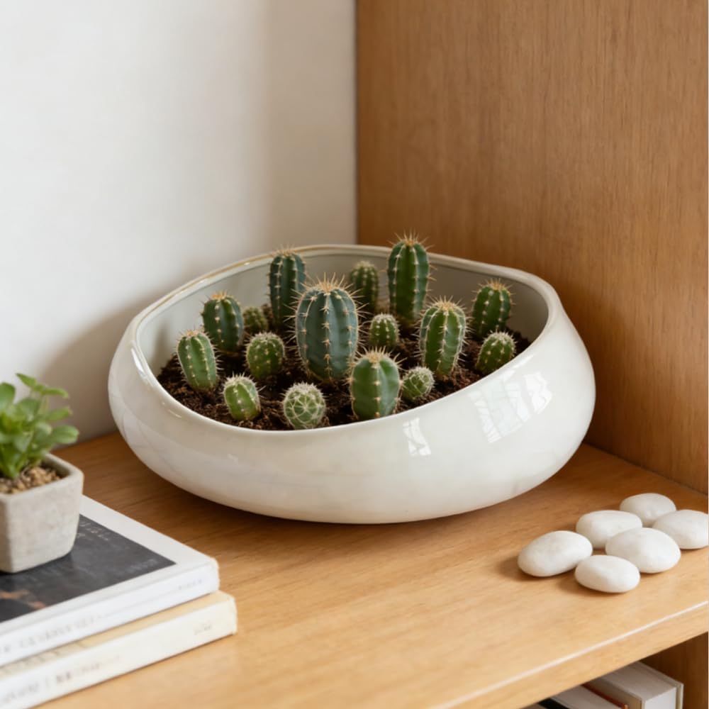LOUIE SILNA Decorative Bowl Free-Form Rim Glazed Ceramic Fruit Bowl for Kitchen Counter Ceramic Dining Room Table Centerpiecekey Bowl for Entryway Table|Dishwasher & Microwave Safe
