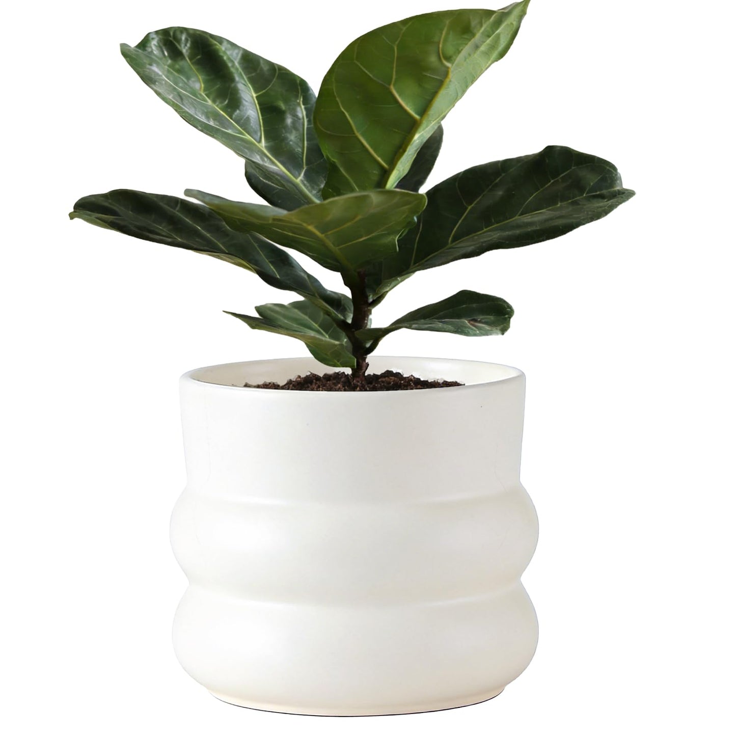 FUYHE Ceramic Plant Pot,6 Inch Planters for Indoor Plants,Ceramic Planter Flower Pots with Drainage Hole,Home Office Garden Décor,(Pale Beige)