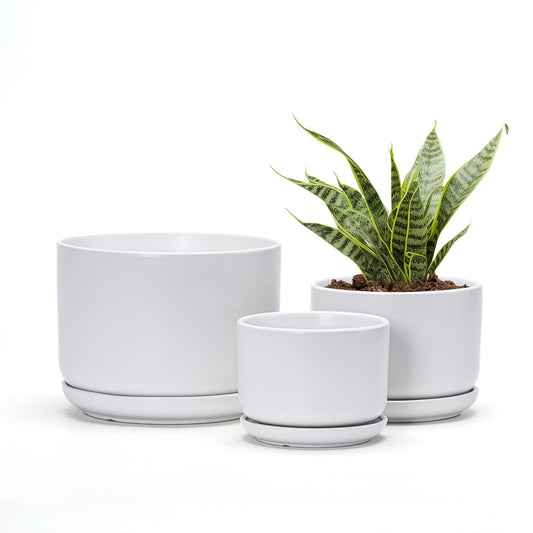 Ton Sin Ceramic Pots for Plants, 4.4+5.4+6.9 Inch Set of 3, Matte White Flower Pot & Plant Pot with Drainage Hole Saucer, Small Indoor Planters for Succulent Cactus, Home Decor Gift