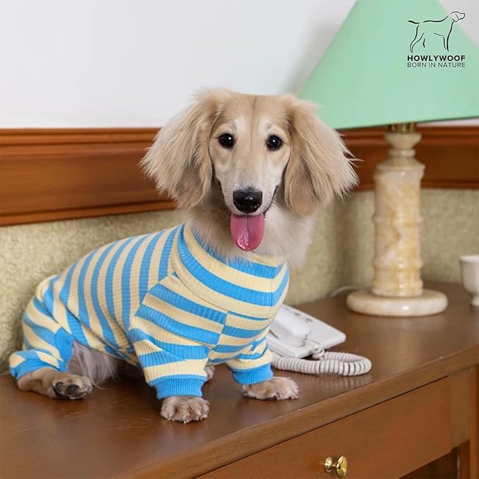 HowlyWoof Dachshund Dog Shirt, Thin Striped Base Layer Onesie for Wiener Dogs, Lightweight All-Season Wear, Soft & Comfy Fit for Doxie and Short-Leg Breeds (Blue&Yellow, Size 1 (7-11lbs))