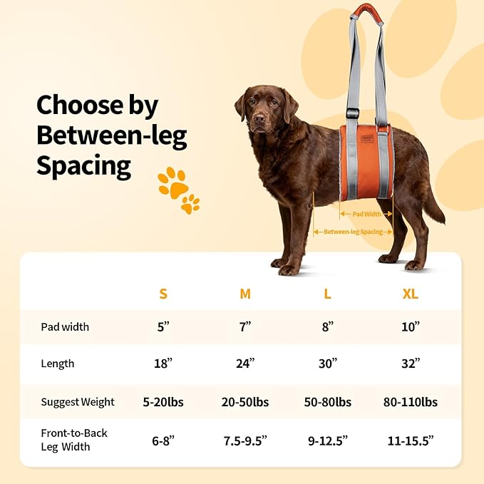 ExploreU Dog Sling for Back Legs Dog Lift Harness Magic Tape Hip Support Harness Rehab to Help Senior,Injured,Arthritis,Hip Dysplasia,Weak Rear Leg,Disabled,After ACL/CCL Surgery,TPLO Dogs (Brown, M)