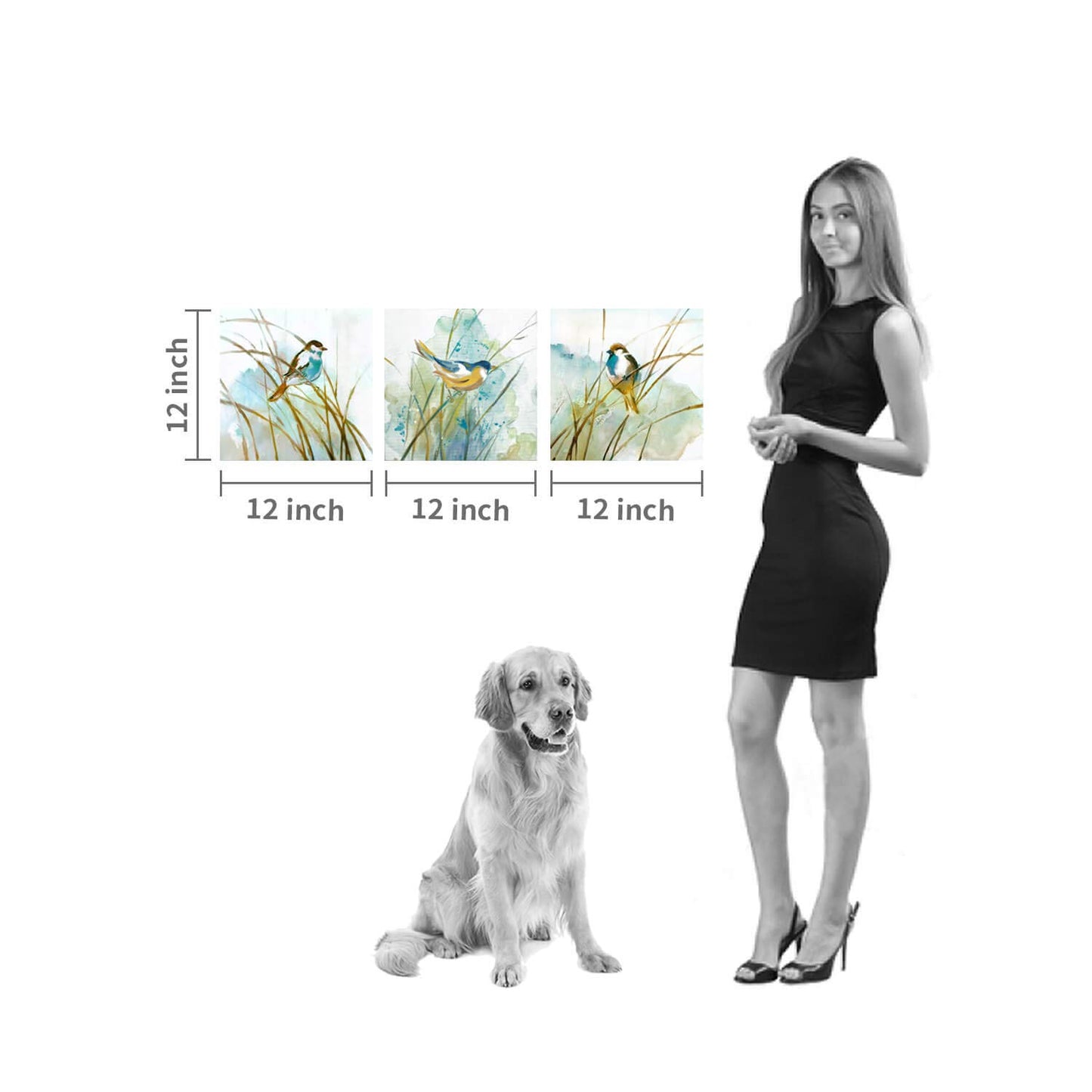 Hardy Gallery Abstract Birds Painting Wall Art: Colorful Birds in Grass Artwork Animal Picture on Canvas Prints for for Living Room (12” x 12” x 3 Panels)