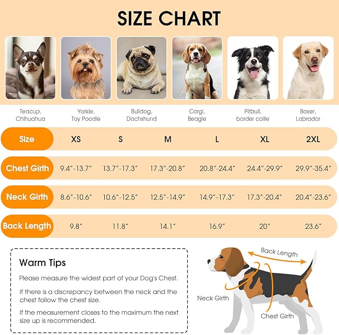 Queenmore Dog Winter Coat, Cold Weather Fleece Jacket for Dogs, Waterproof Reflective Reversible, for Small, Medium and Large Dogs (Green, M)