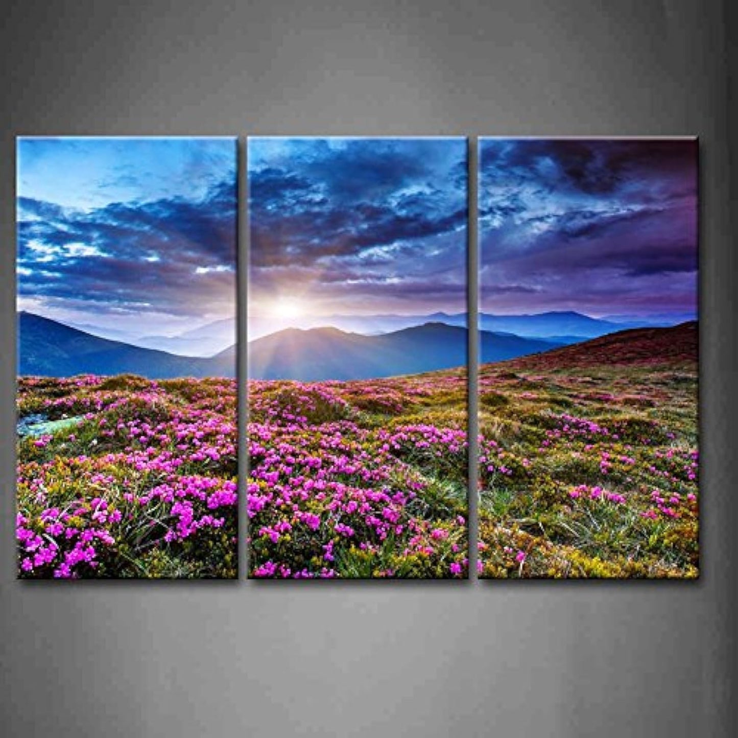 3 Panel Wall Art Mountain Landscape Spring Canvas Sunrise Blue Skyline Purple Flowers Picture Print On Canvas Art for Living Room Kitchen Home Decor