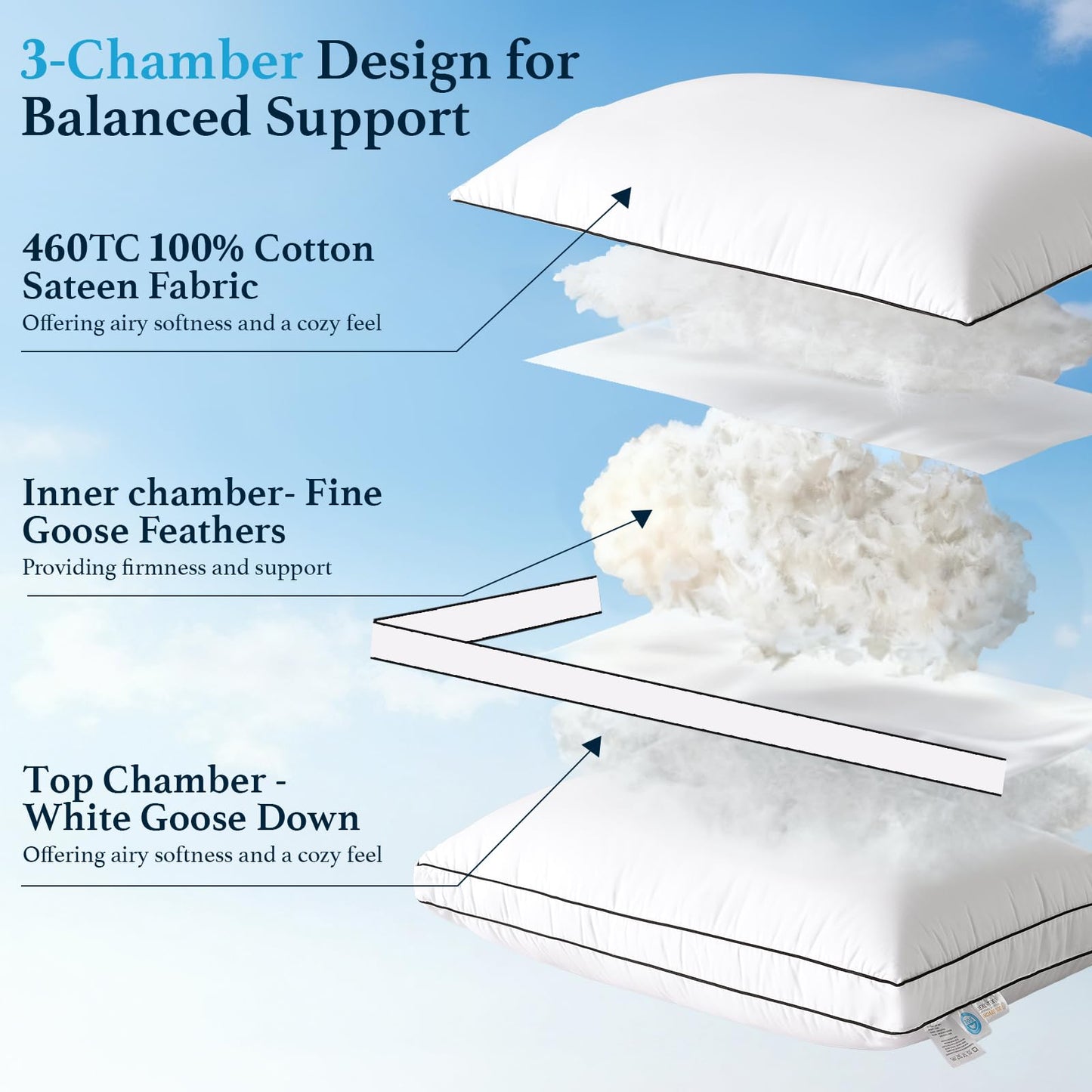 LIANLAM RDS & Oeko‑TEX Certified Hungarian Goose Down Pillow Queen Size 2 Pack, Luxury Hotel Soft Fluffy for Back & Side Sleepers(20"x30",2 Pack)