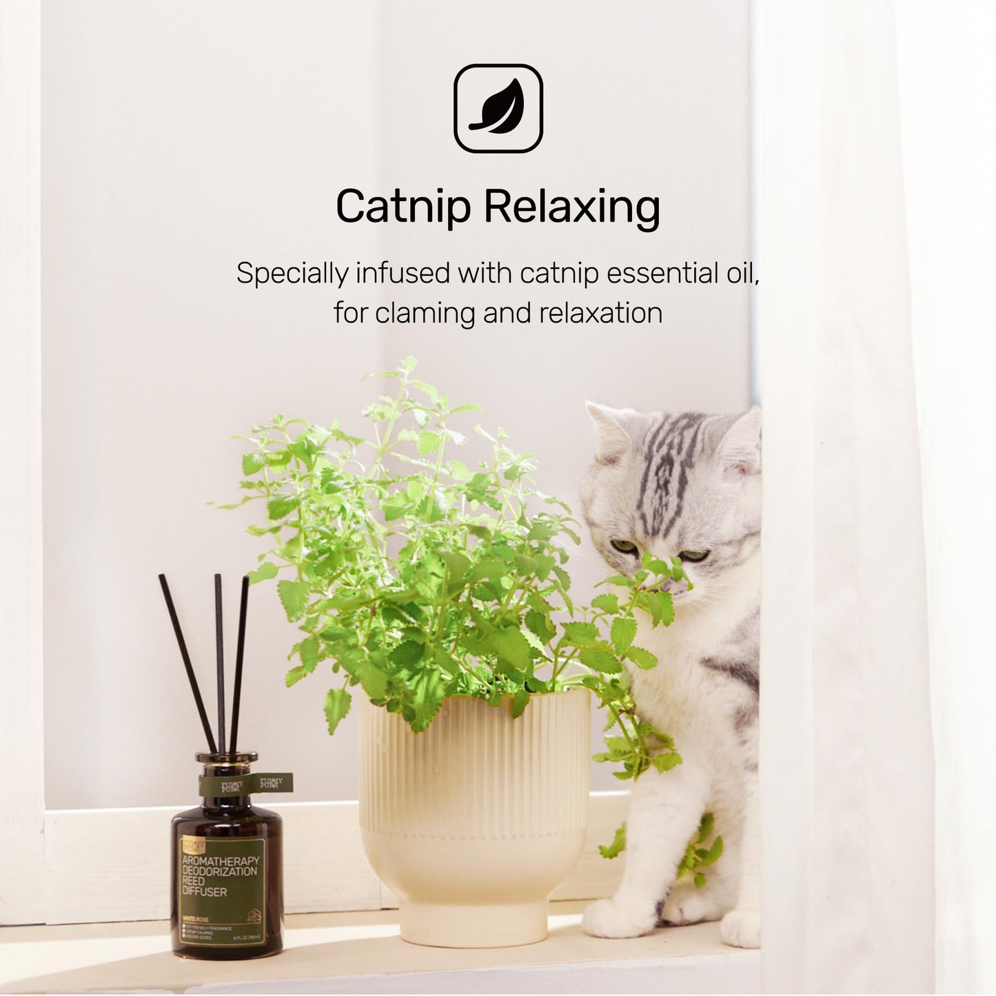 FURRYPURR Reed Diffuser for Pet Odor Elimination, Osmanthus, Non-Toxic & Pet-Friendly Air Freshening, 6 Oz
