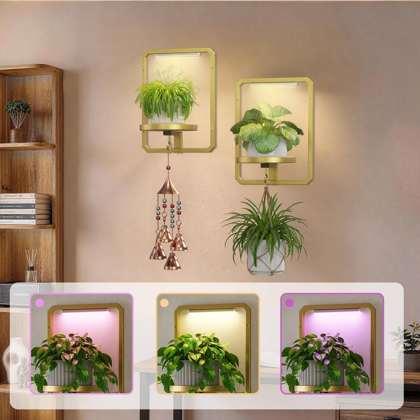 LASZOLA Plant Picture Frame Holder Wall Mount Indoor Window with 2 Grow Light, 2 Pack Modern Floating Flower Stand Shelf with Hooks, Metal Hanger Display Decor for Living Room, Gold