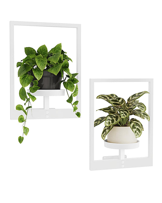 Bamworld White Plant Stand Indoor, Plant Hanger Wall Planters for Indoor Plants Window Plant Shelves Plant Holder Wall Decor, Room Decor (Patent Design)