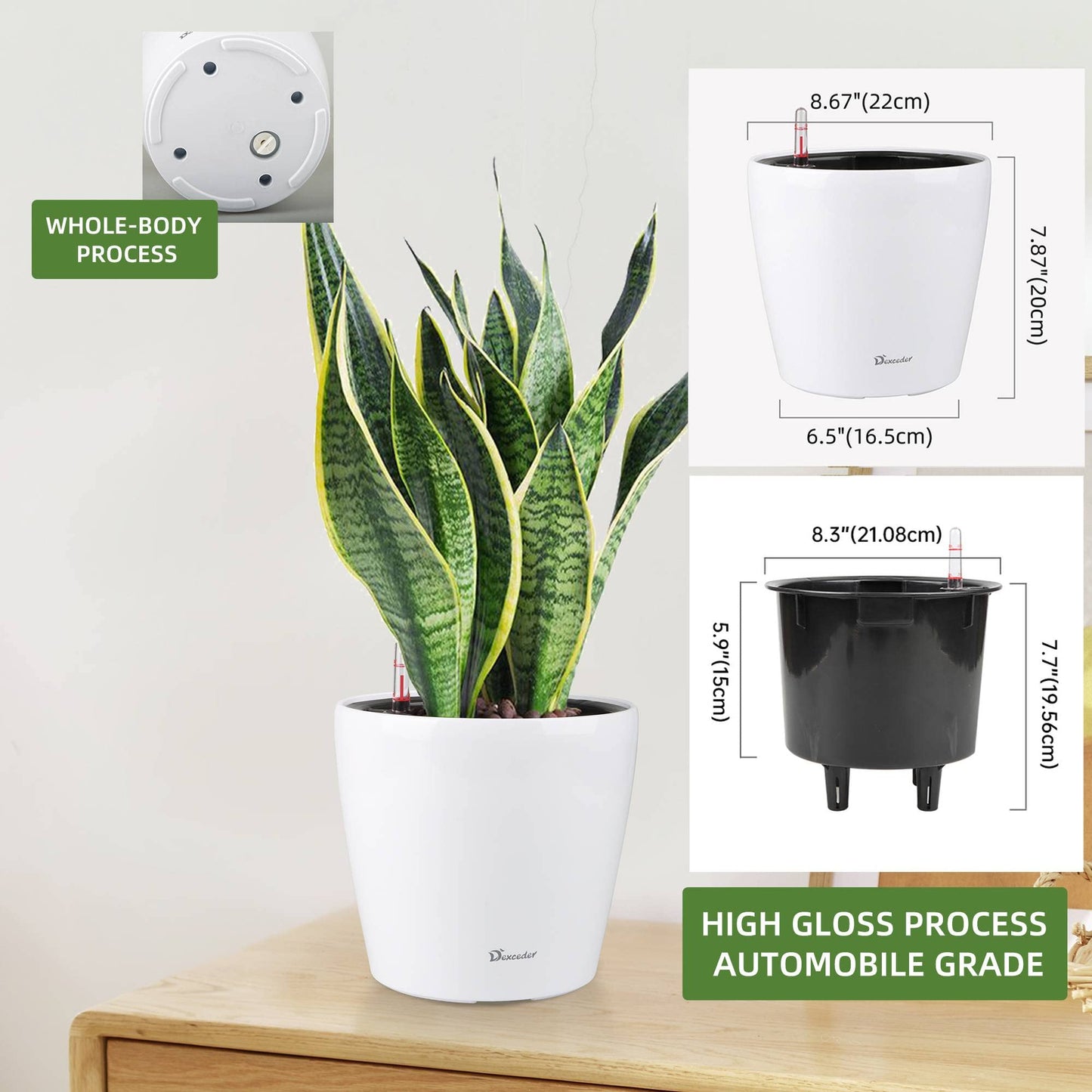 Dexceder 9x8 Self Watering Planter (White High Gloss)