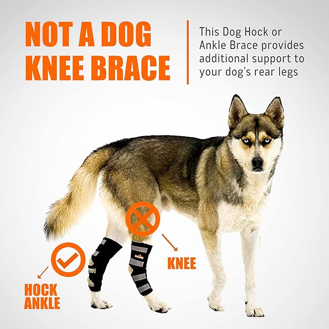 NeoAlly® - Rear Leg Hock Brace, Dog Leg Brace for Rear Leg, Hock & Ankle Support for Large Dogs, Dog Brace for Torn Acl and Ccl, Long Version, Small, 1 Pair