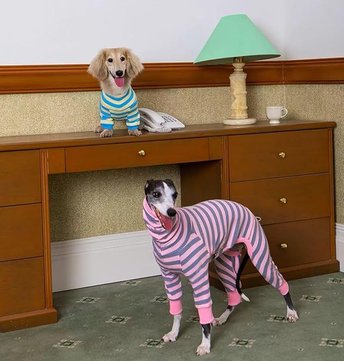 HowlyWoof Dachshund Dog Shirt, Thin Striped Base Layer Onesie for Wiener Dogs, Lightweight All-Season Wear, Soft & Comfy Fit for Doxie and Short-Leg Breeds (Blue&Yellow, Size 1 (7-11lbs))