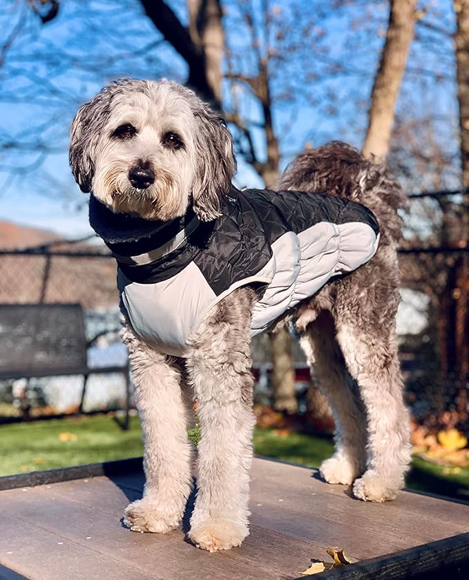 Lelepet Dog Coat Warm Dog Winter Coat Waterproof Dogs Jacket with Harness Built in Reflective Pet Fleece Vest Zip-Up Cold Weather Coats for Small Dogs Turtleneck & Windproof Coats Chihuahua Black XS