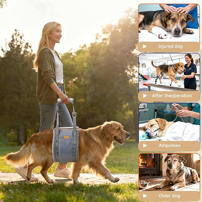 Big Dog Lift Harness, Adjustable Dog Sling for Back Legs, Hip Support Harness to Help Lift Dogs Rear for Helps Senior, Injured, Disabled and After ACL Surgery Dogs - X-Large, Grey
