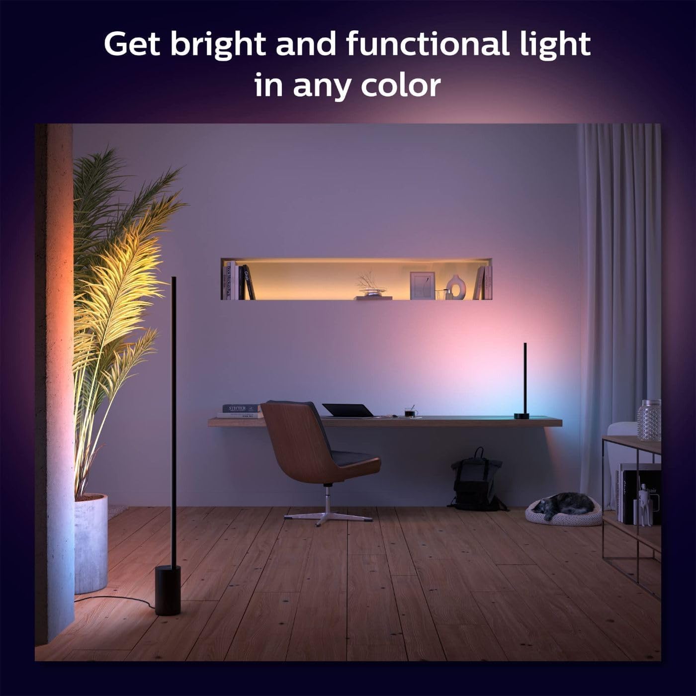 Philips Hue RGB Gradient Signe LED Smart Floor Lamp - Pack of 1 - Indoor - Flowing Multicolor Effect - Control with Voice or App - Compatible with Alexa, Apple HomeKit and Google Assistant - Black