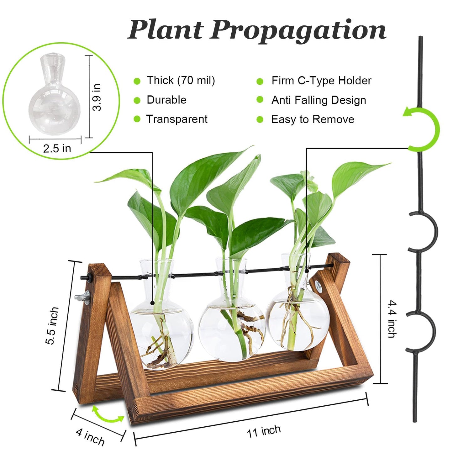 Renmxj Plant Propagation Station, Plant Terrarium with Wooden Stand