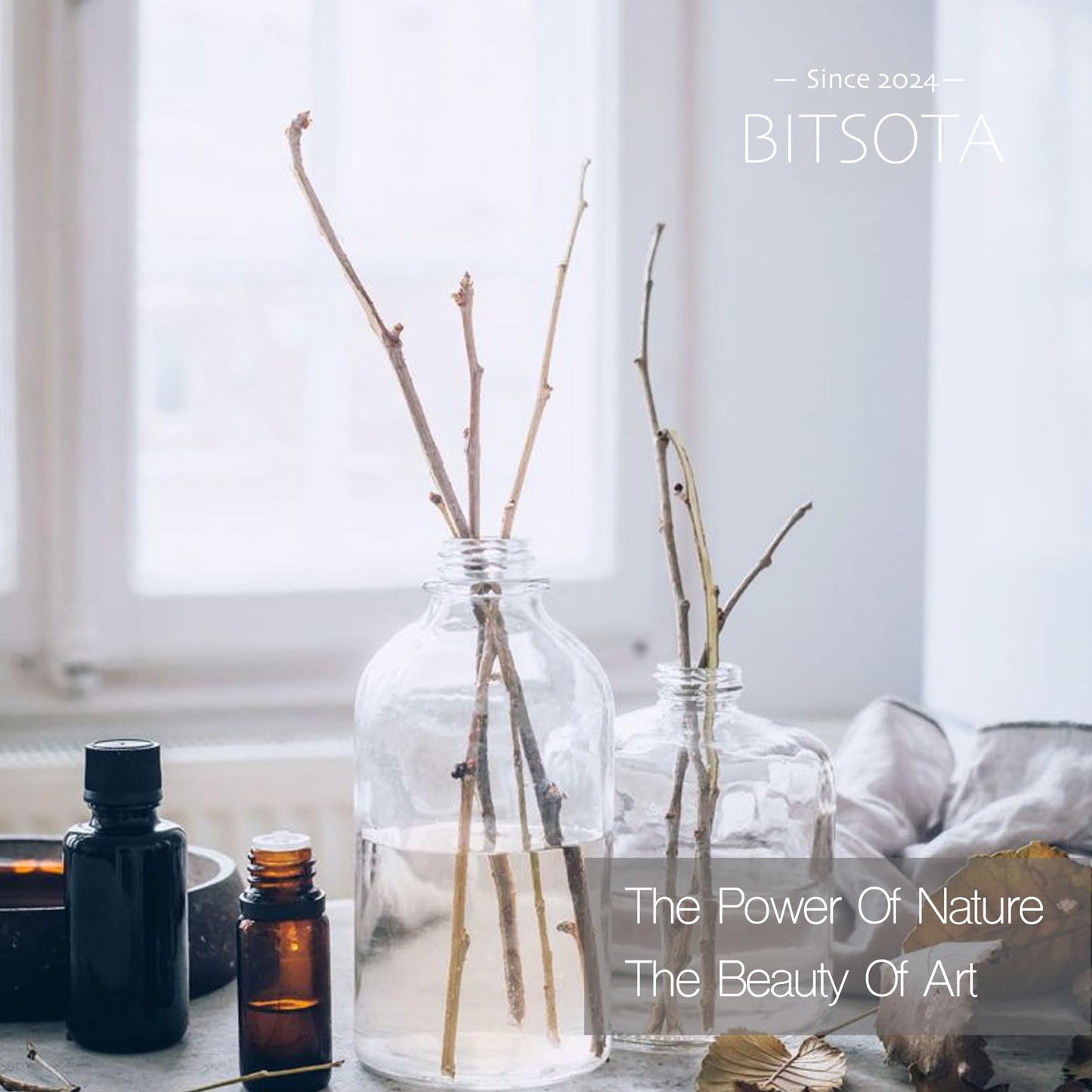 BITSOTA Natural Reed Diffuser Set, Fresh Lemon 3.52 oz (100ml) Scented Diffuser with Sticks Home Fragrance Reed Diffuser for Bathroom Shelf Decor, Ideal Gift for Woman