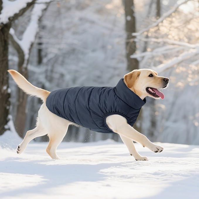 ASENKU Dog Winter Coat - Waterproof Windproof Dog Jacket, Warm Snowproof Doggie Puffer Vest for Cold Weather, Lightweight Snow Coats for Small Medium Large Dogs (2XL, Blue)