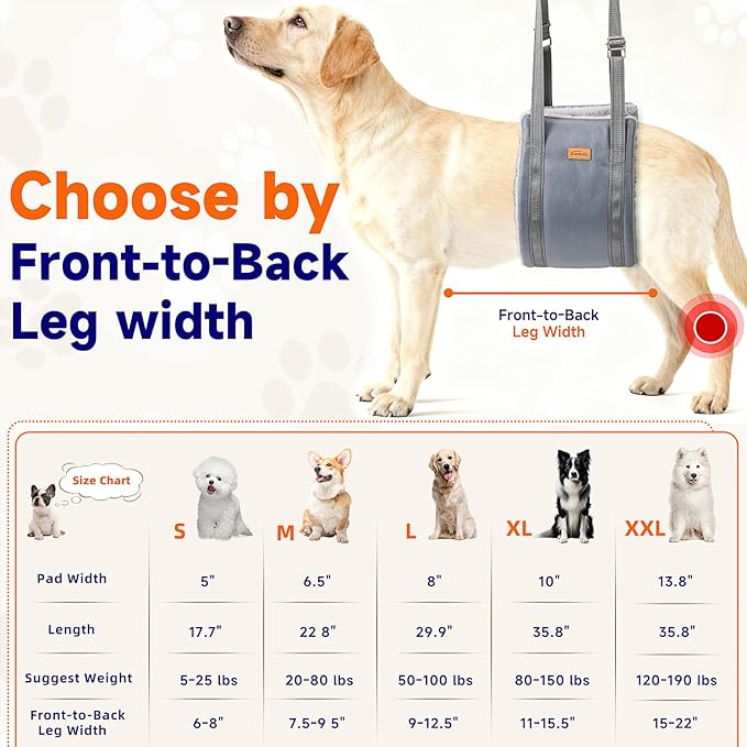 Dog Lift Harness for Large Dogs, Adjustable Dog Sling for Back Legs, Hip Support Harness to Help Lift Dogs Rear for Helps Senior, Injured, Disabled and After ACL Surgery Dogs - Large, Grey